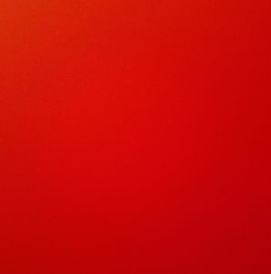 Meet your Posher, Anabel karina